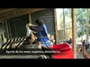 youtube - [Video]